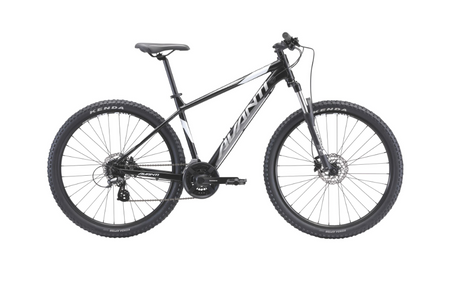 Avanti 2022 Montari 1 (27.5")