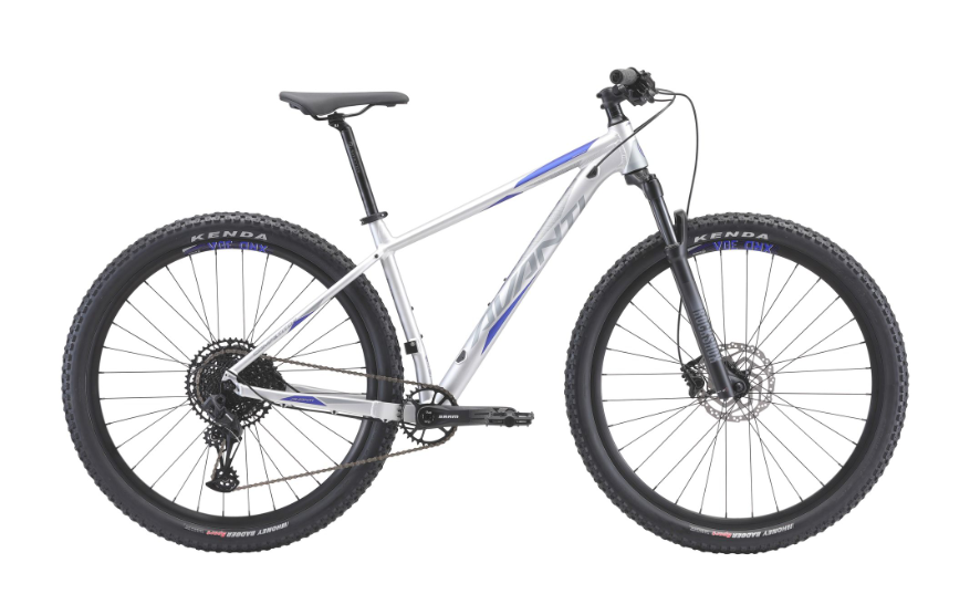 Avanti 2022 Competitor 2 Silver (29") [sz:small]