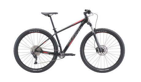 Avanti 2022 Competitor 1 Black (29")